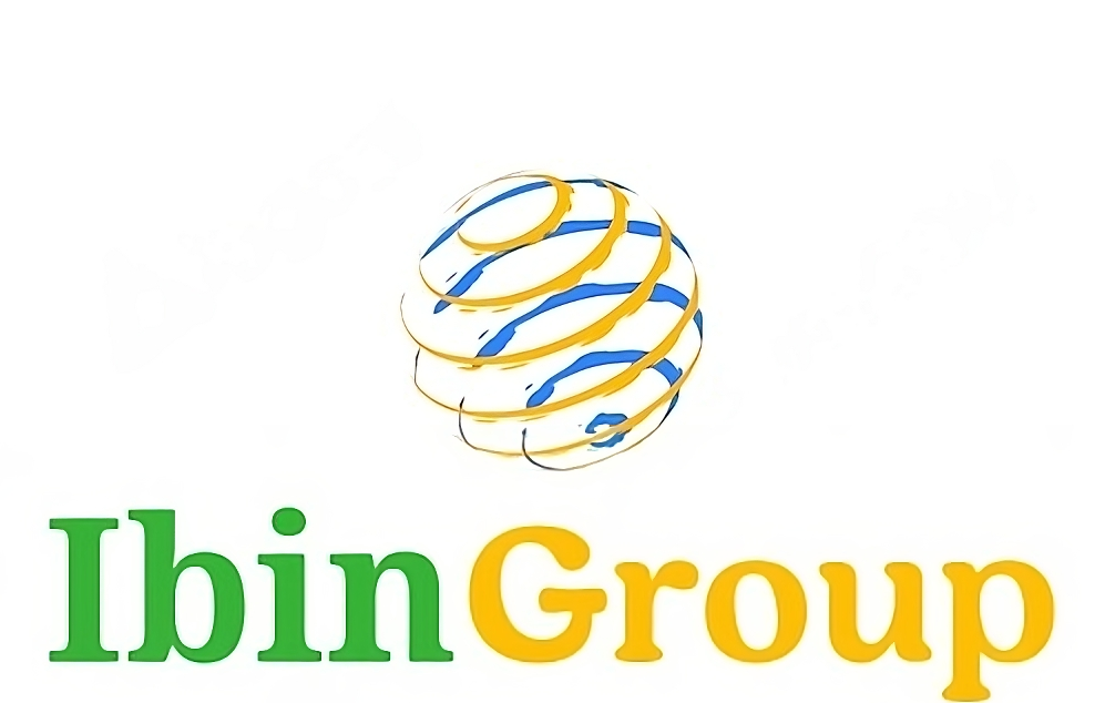 IBIN Group Logo